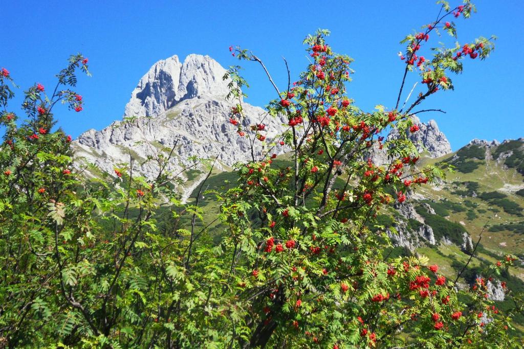 Ferienhaus Abendstille Ramsau am Dachstein Δωμάτιο φωτογραφία